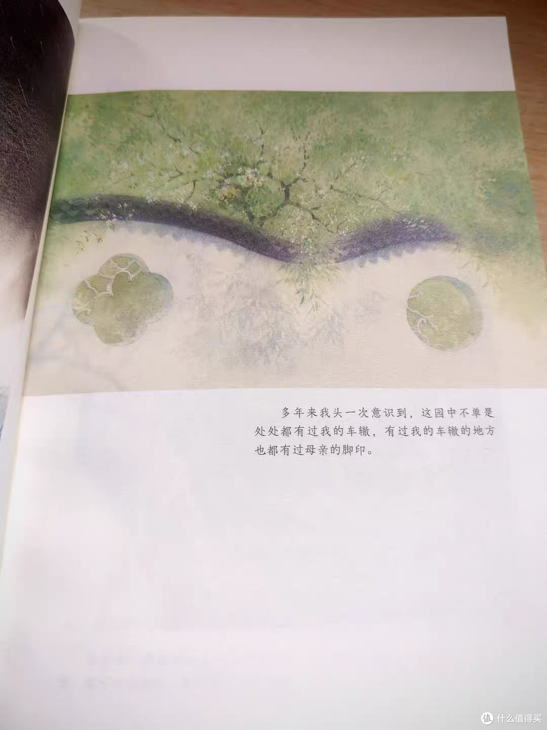 那些深夜想不通的困惑,总能在文字的缝隙里,找到恰到好处的慰藉