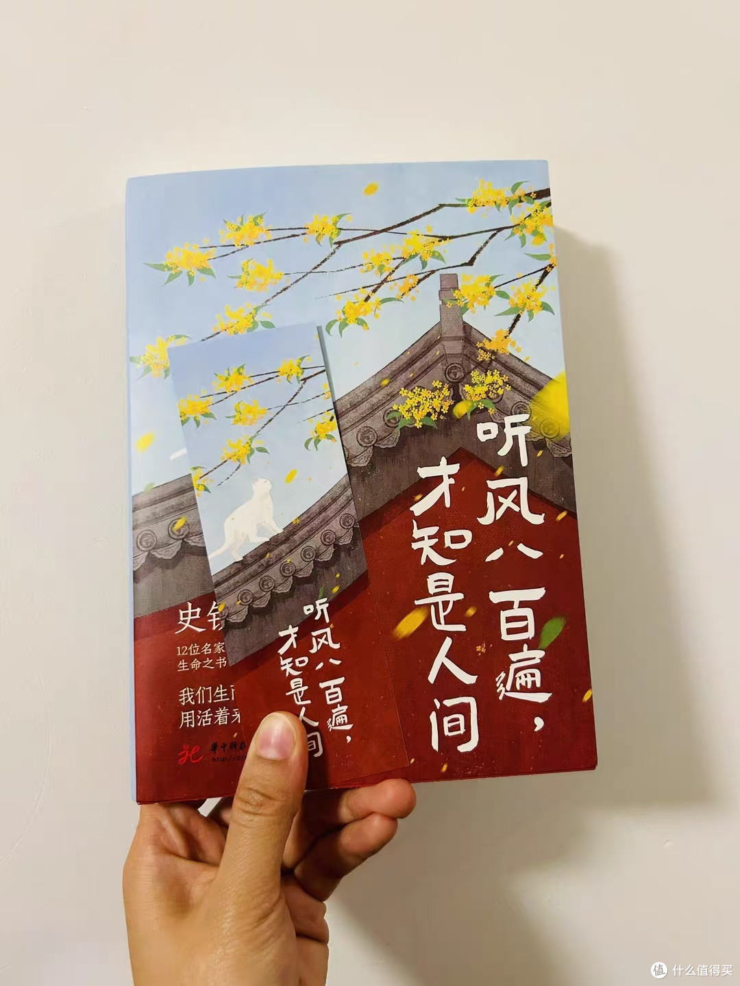那些深夜想不通的困惑，总能在文字的缝隙里，找到恰到好处的慰藉