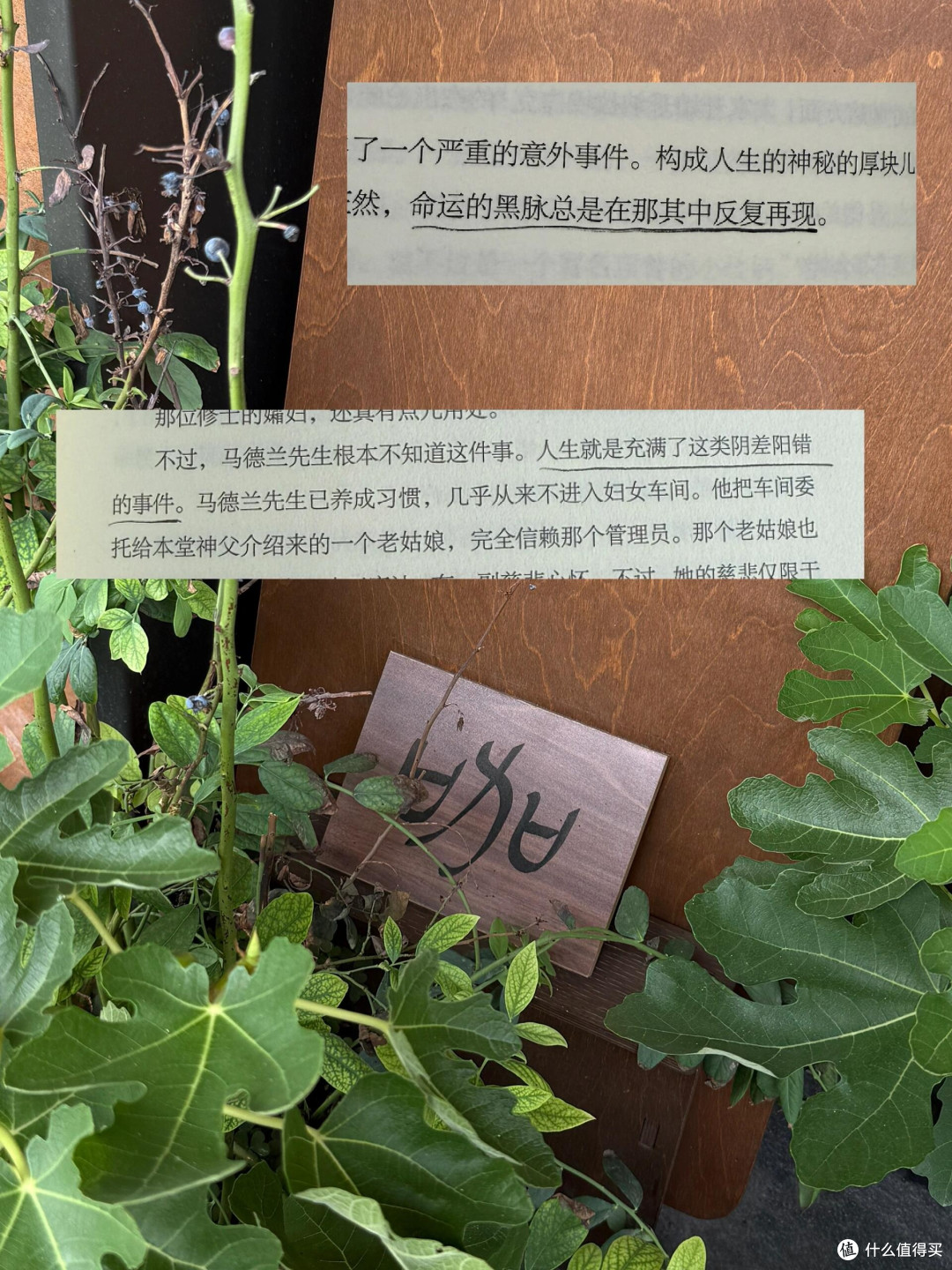 纸质与电子阅读的互补策略