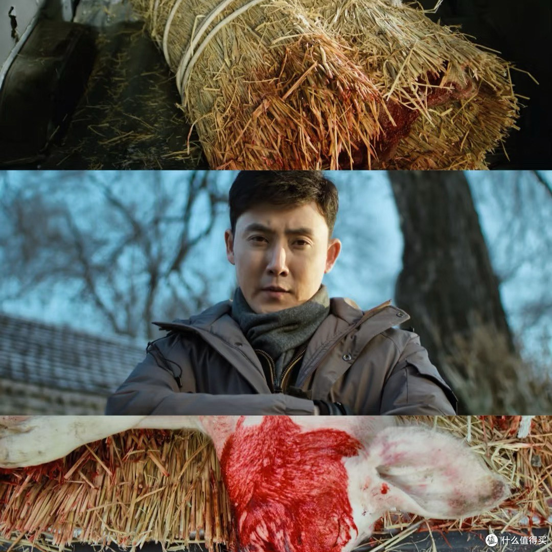 凛冬下的罪恶:真实刑侦剧评