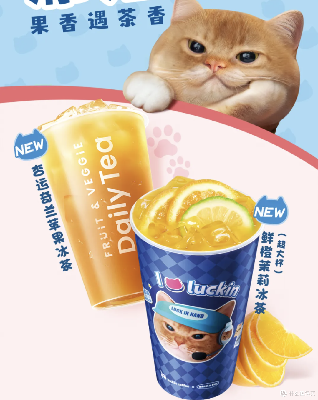 食品饮料健康新品:6 款新品核心亮点一次说清,想体验直接入!