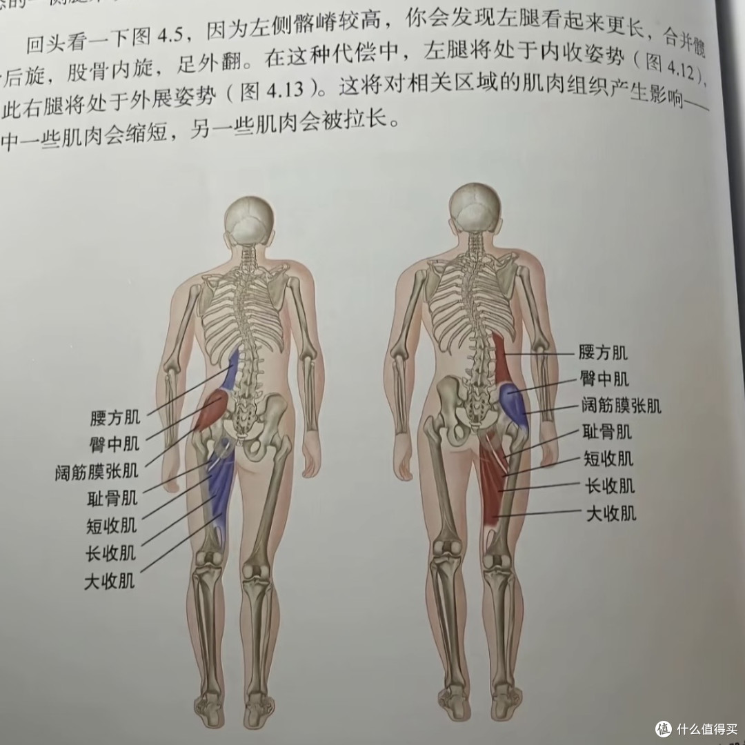 关于“脊柱侧弯”很多人都误解了,青少年与成人并不一样