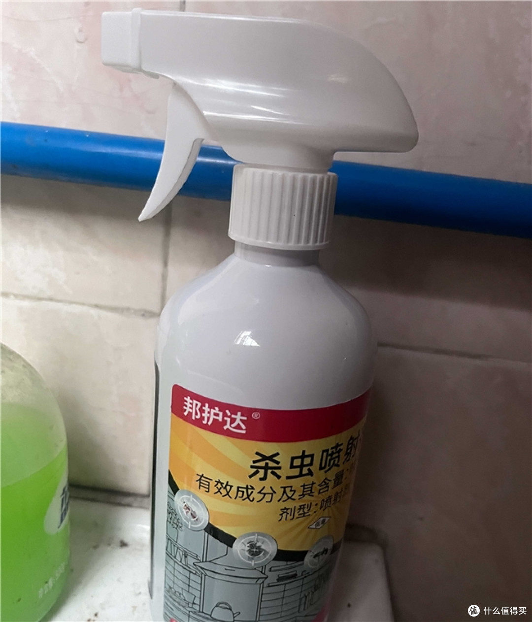租房养宠被跳蚤咬得睡不着,杀跳蚤最猛的药这样选才不反复