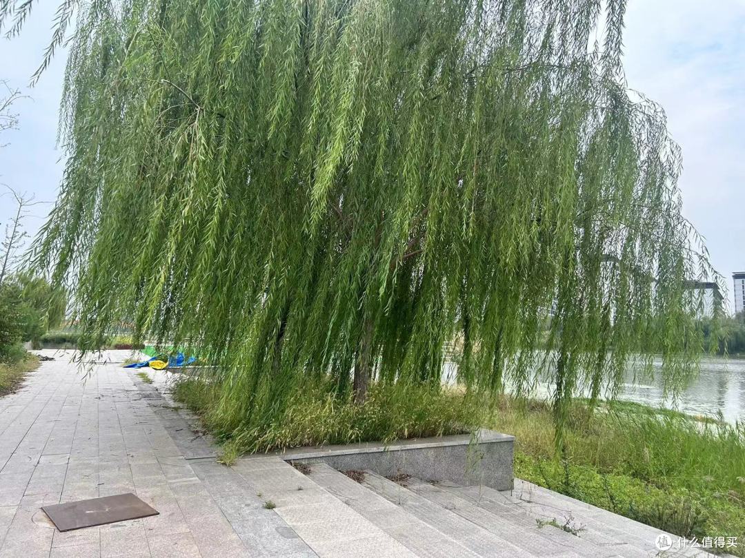 算了一笔账:玛丝兰二硫化硒洗发水全系对比,69元/180ml起哪款值