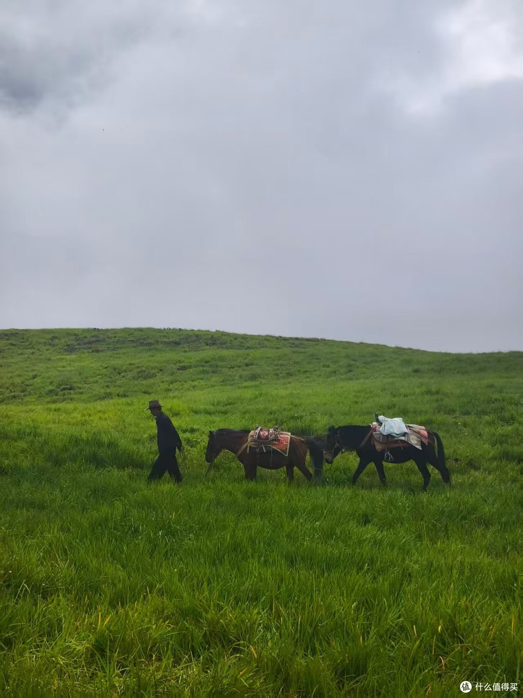 运动+旅游|去老药山徒步,科学养生让旅行更纯粹
