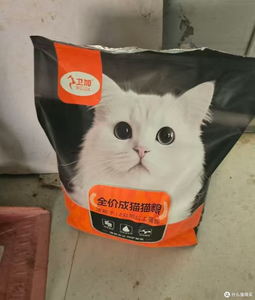 四猫半年喂养卫加猫粮观察