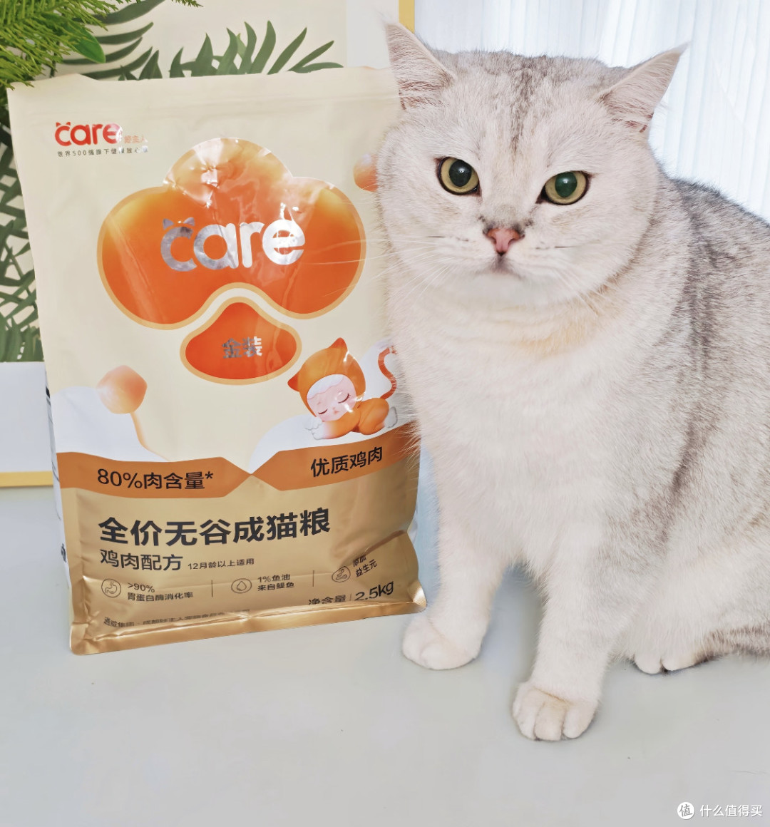好主人金装幼猫粮,毛孩子吃的真香