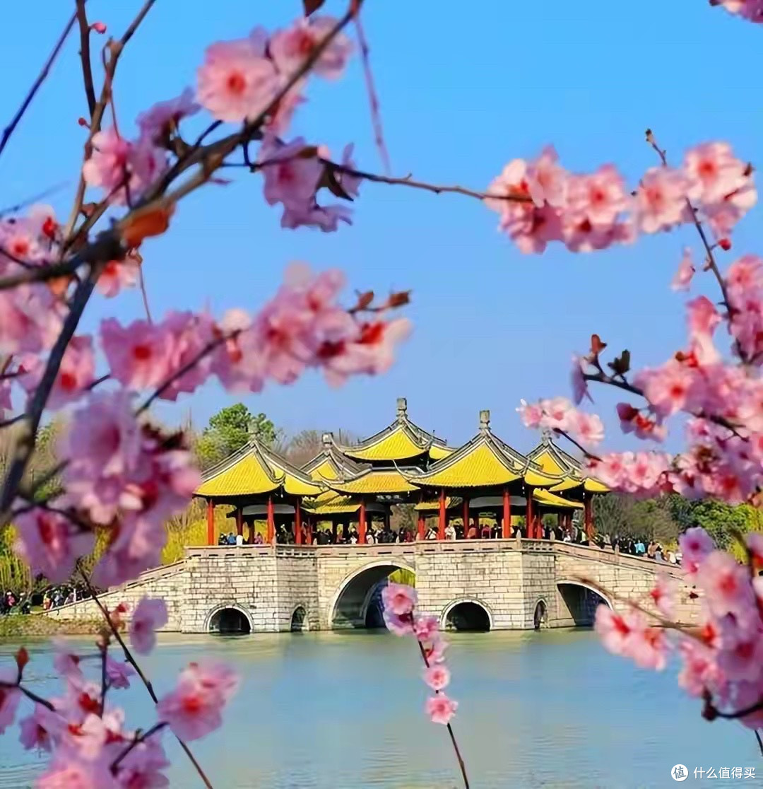 中国不宰游客的6座城市，游客几乎零差评！争取每年去一个！