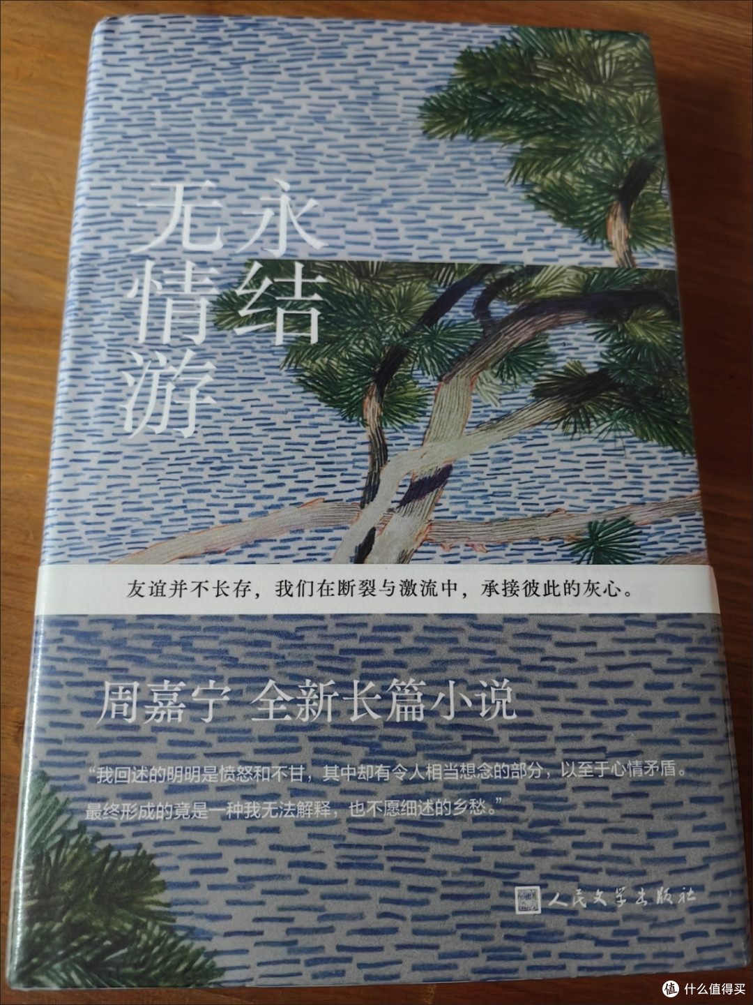 友谊是亲手选择的家人|读《永结无情游》