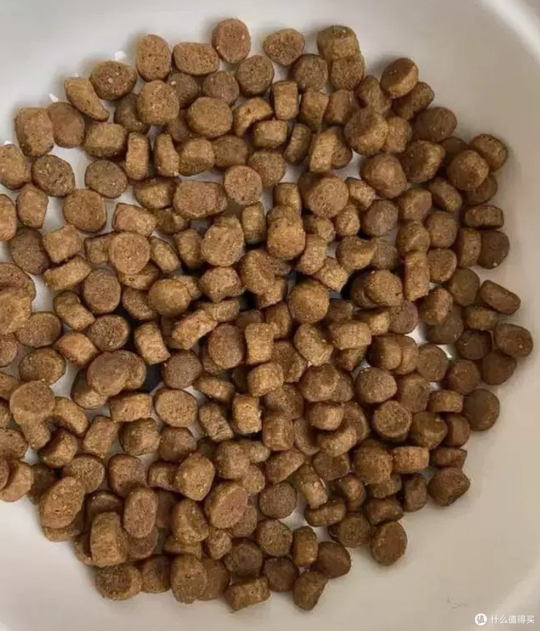 告别软便!绿福摩四重益生菌稳肠胃