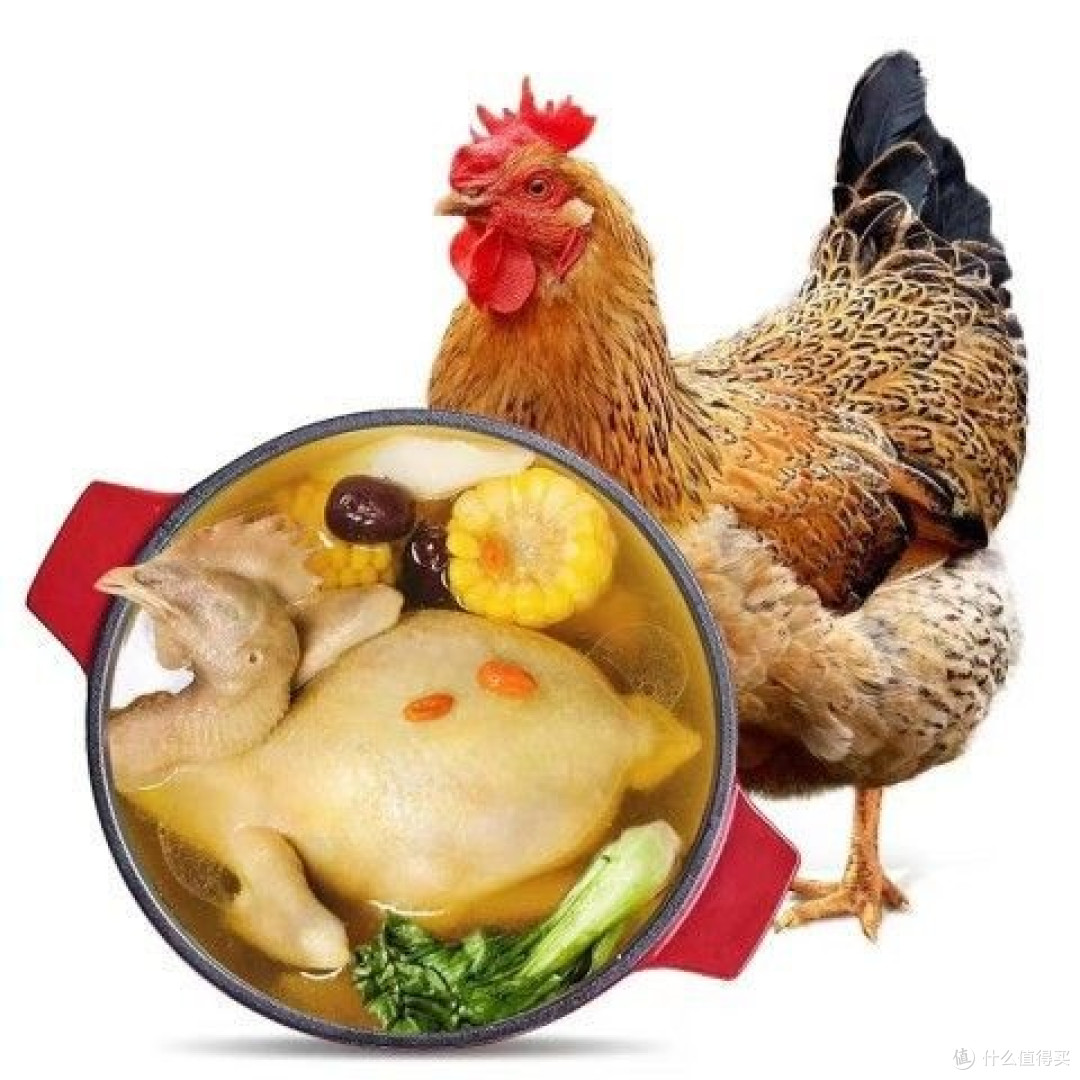 老母鸡清炖与红烧的烹饪技法