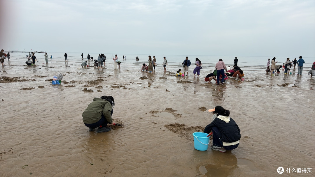 自驾山东江苏:特斯拉跑700km去日照吃海鲜实测