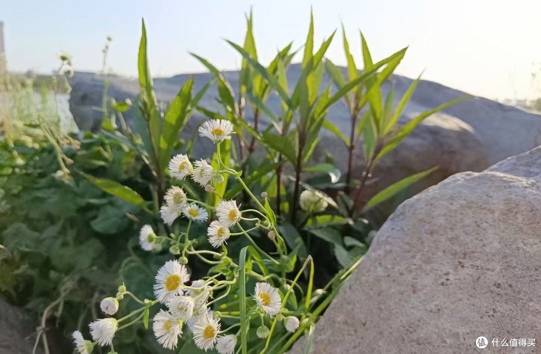 烧烫伤恢复期的人买祛疤膏?淡化烫伤疤这几种作用机制我会先看