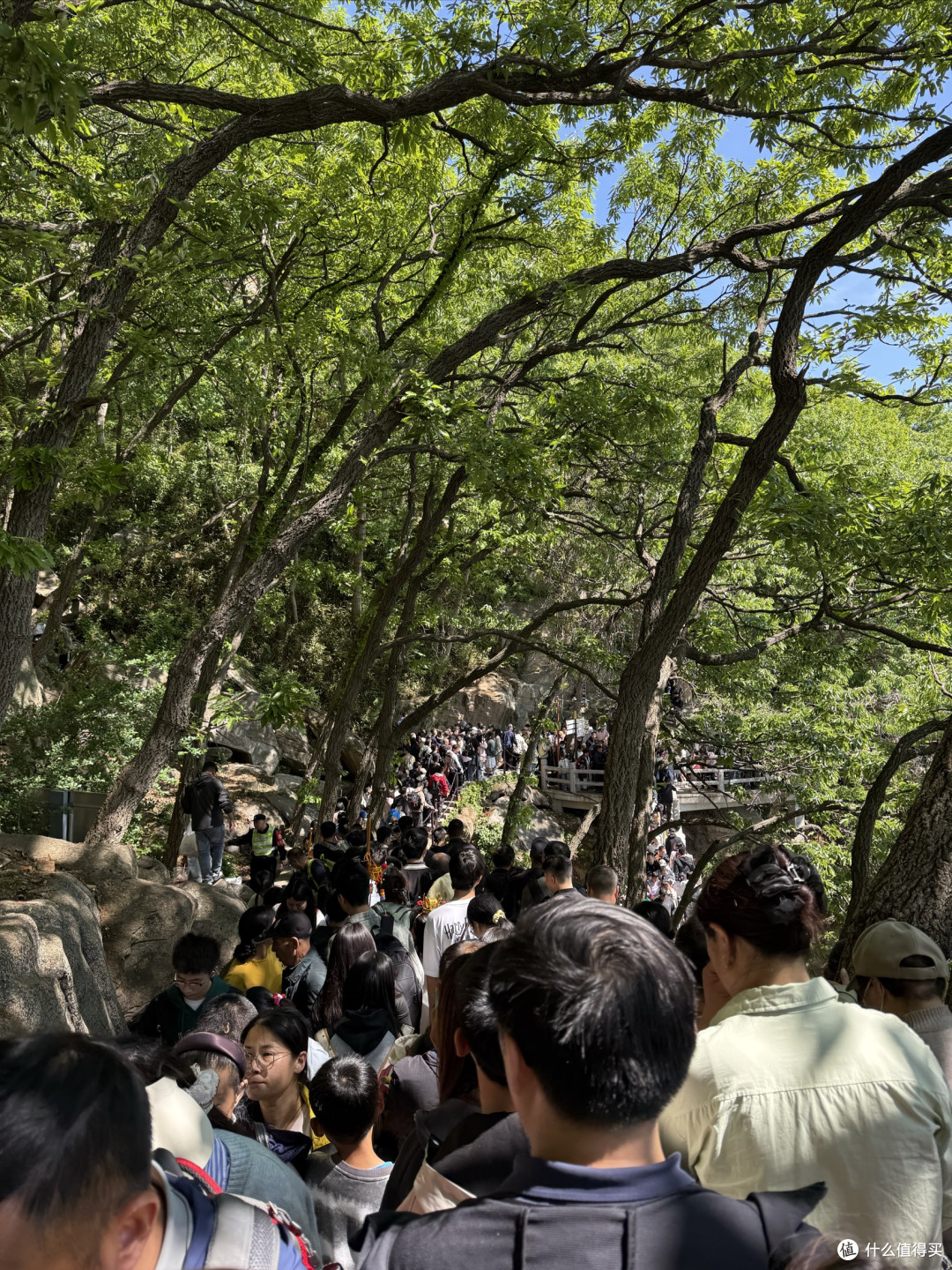 自驾山东江苏:江苏最高峰只有645米?连云港花果山一日游