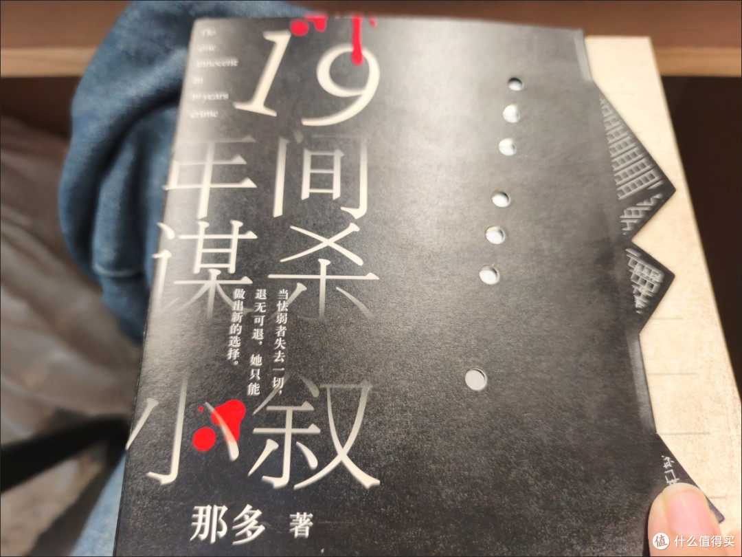 国产推理小说佳作,19年间谋杀小叙