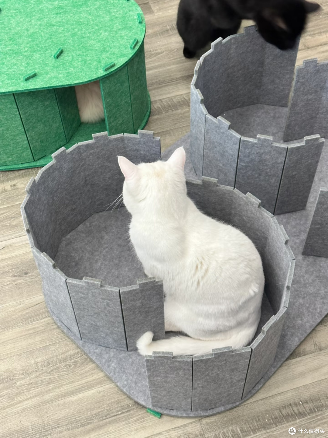 毛毡拼接猫城堡🏰多猫家庭终于解决猫咪抢窝难题
