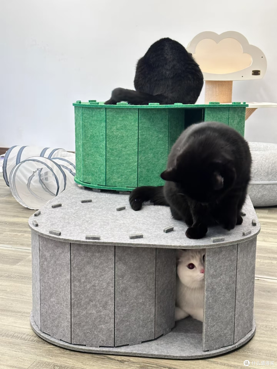 毛毡拼接猫城堡🏰多猫家庭终于解决猫咪抢窝难题
