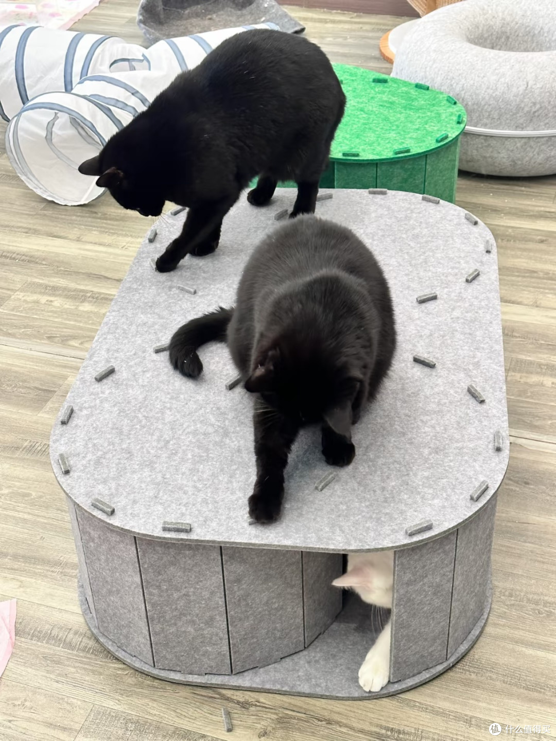 毛毡拼接猫城堡🏰多猫家庭终于解决猫咪抢窝难题