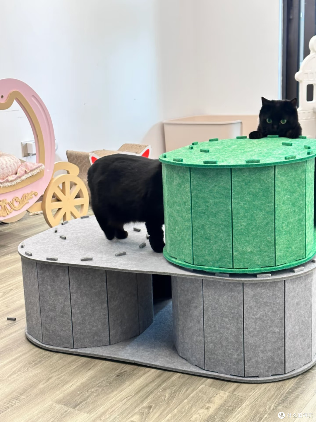 毛毡拼接猫城堡🏰多猫家庭终于解决猫咪抢窝难题