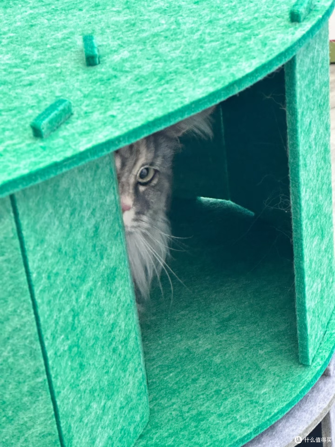 毛毡拼接猫城堡🏰多猫家庭终于解决猫咪抢窝难题