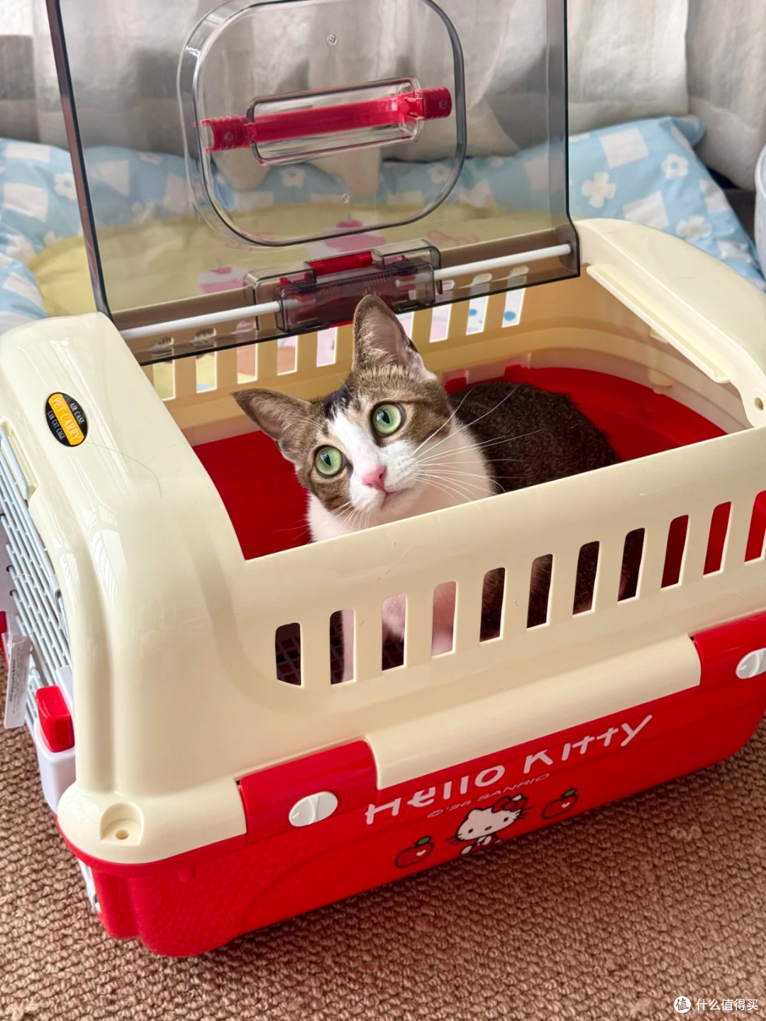颜值出圈!Hello Kitty联名宠物航空箱解决外出难题