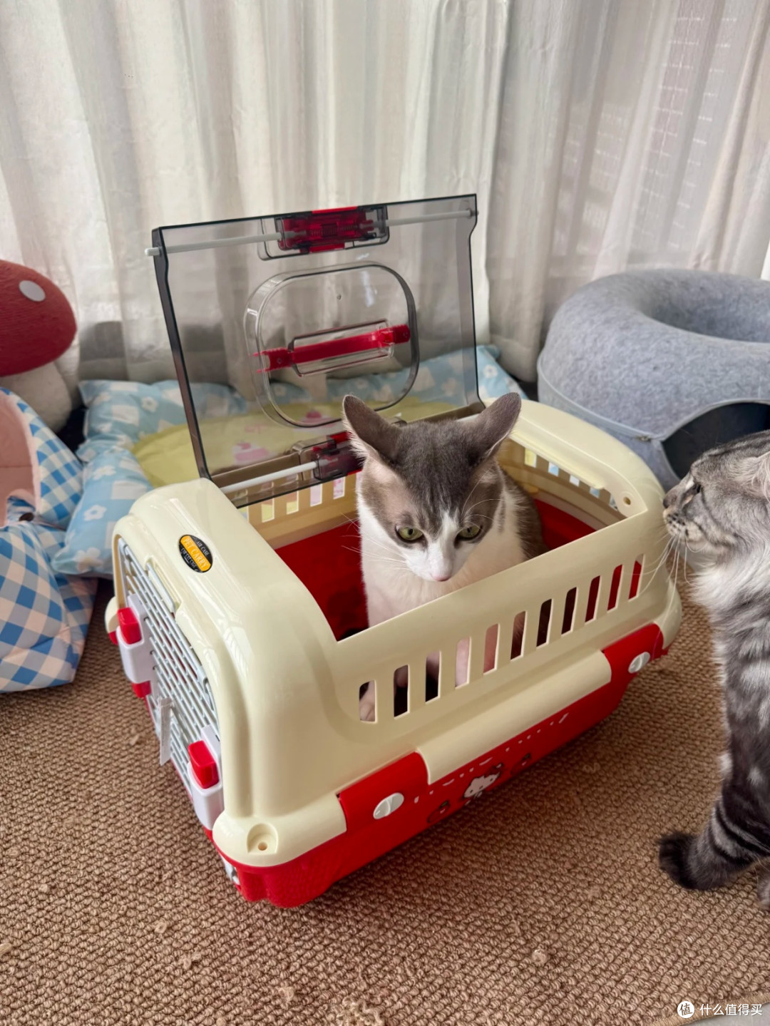 颜值出圈!Hello Kitty联名宠物航空箱解决外出难题