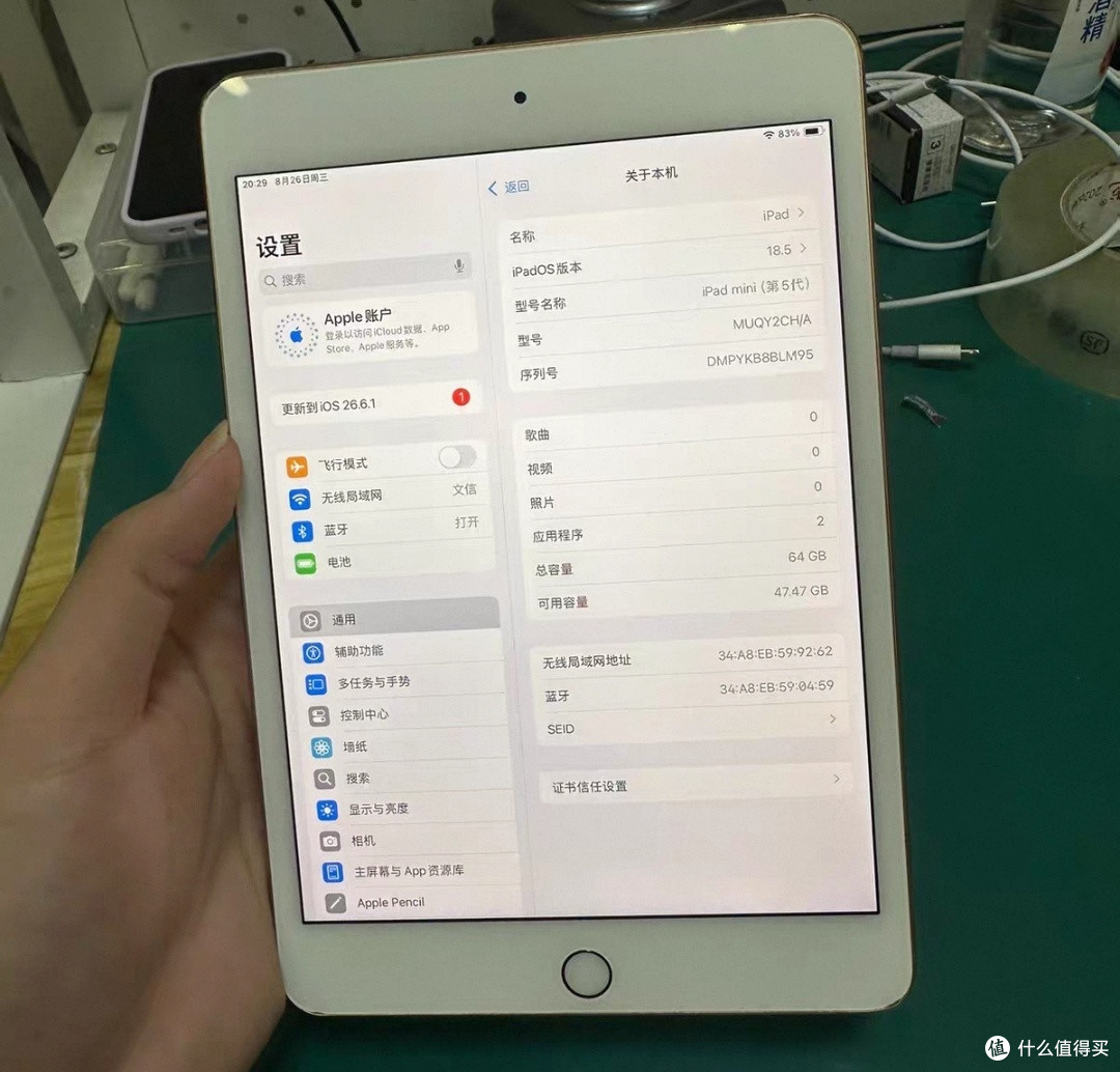 闲鱼捡漏，500块收了台iPad mini 5，比买安卓平板至少节省一千