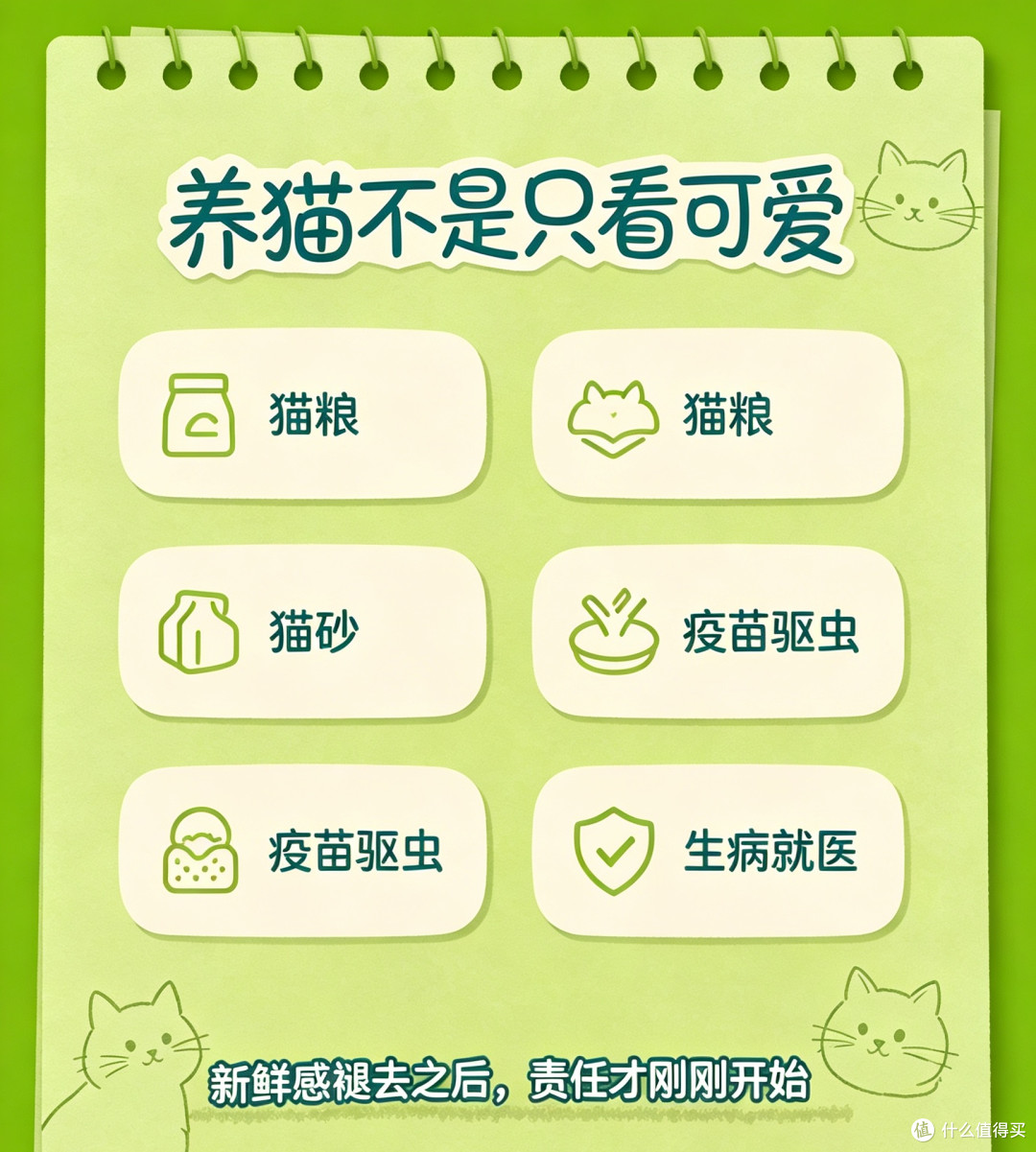 养猫两年踩坑复盘,普通家庭养猫不必疯狂堆装备