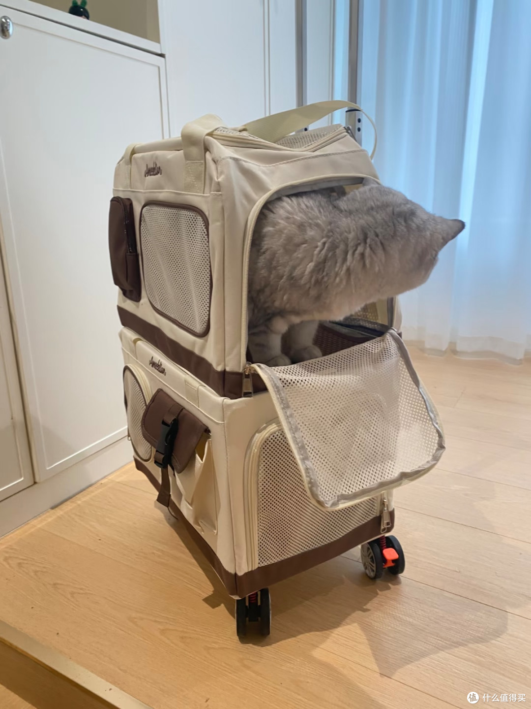 带两只猫出门不再狼狈✨Ameeklion双层宠物拉杆箱