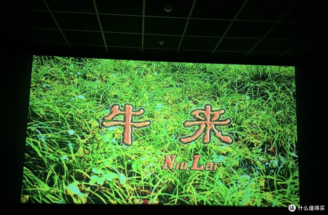 动画《牛来》中的成长寓言