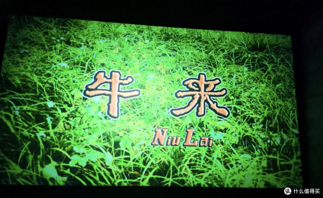 别只盯着4500万,《牛来》最珍贵的,是治好了我的精神内耗