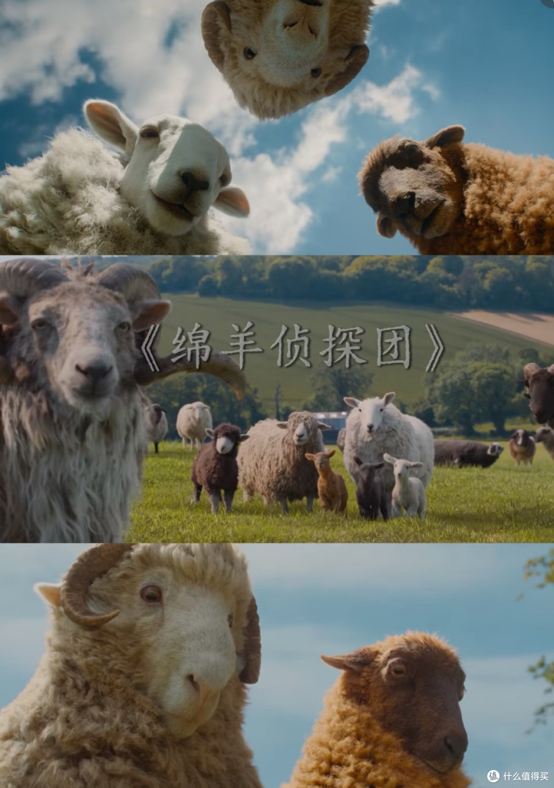 真的在推理吗?近期新上映高分推理电影合集