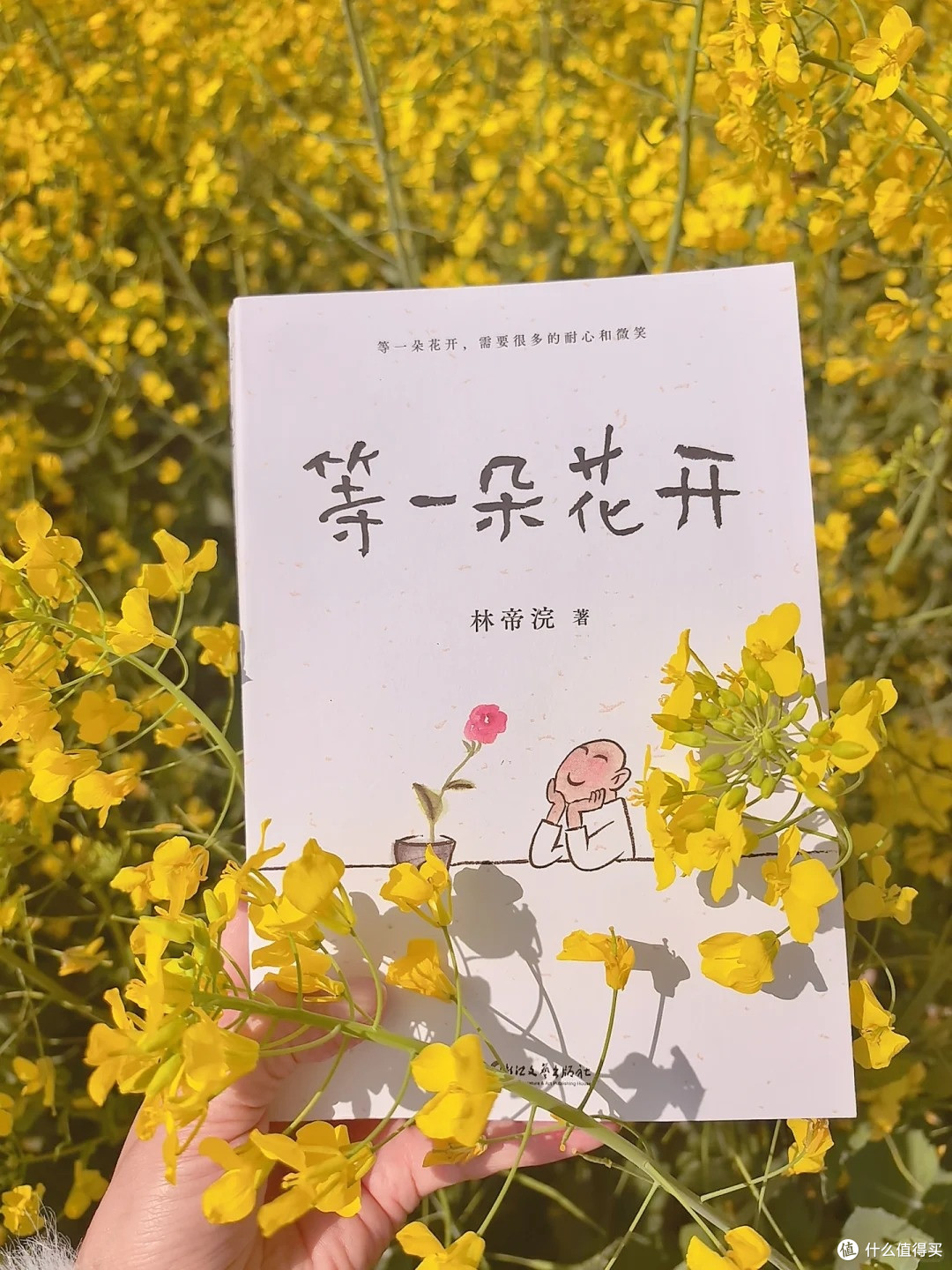 焦虑的时候就翻它!一本软到心坎里的治愈小书