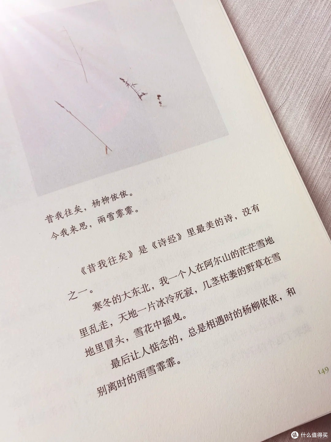 焦虑的时候就翻它!一本软到心坎里的治愈小书