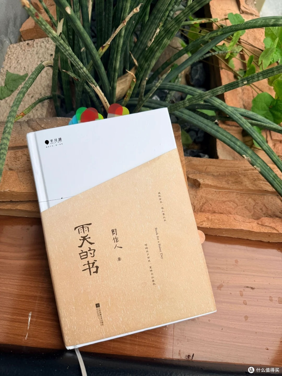 周作人 <雨天的书> ,冲淡民国文笔,打工人精神解压