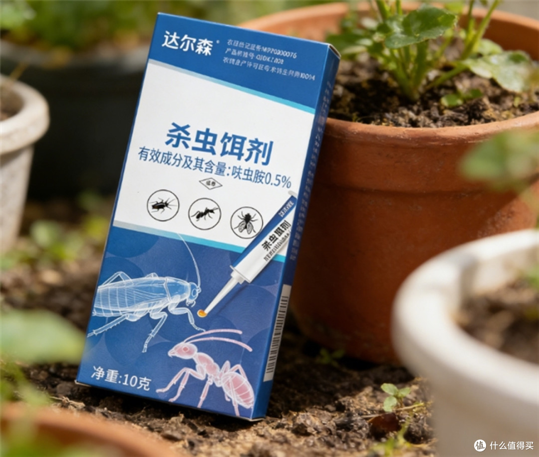 厨房夜里总见蟑螂跑?杀蟑饵剂这样选,全窝端更彻底