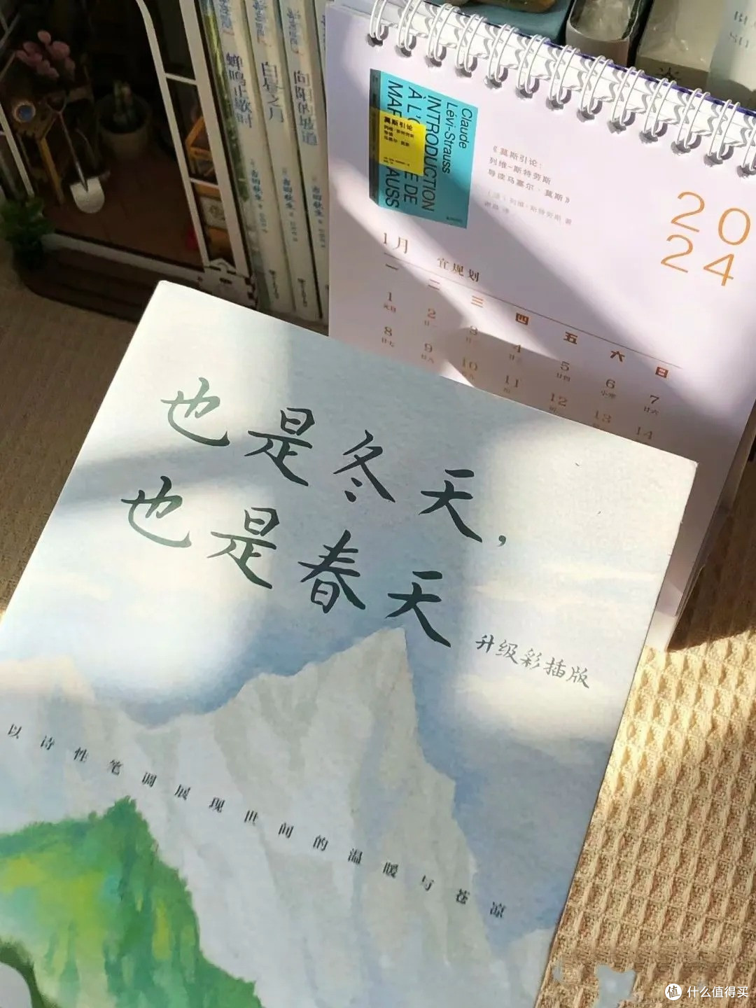 《也是冬天,也是春天》,给焦躁的情绪找着了落脚地。