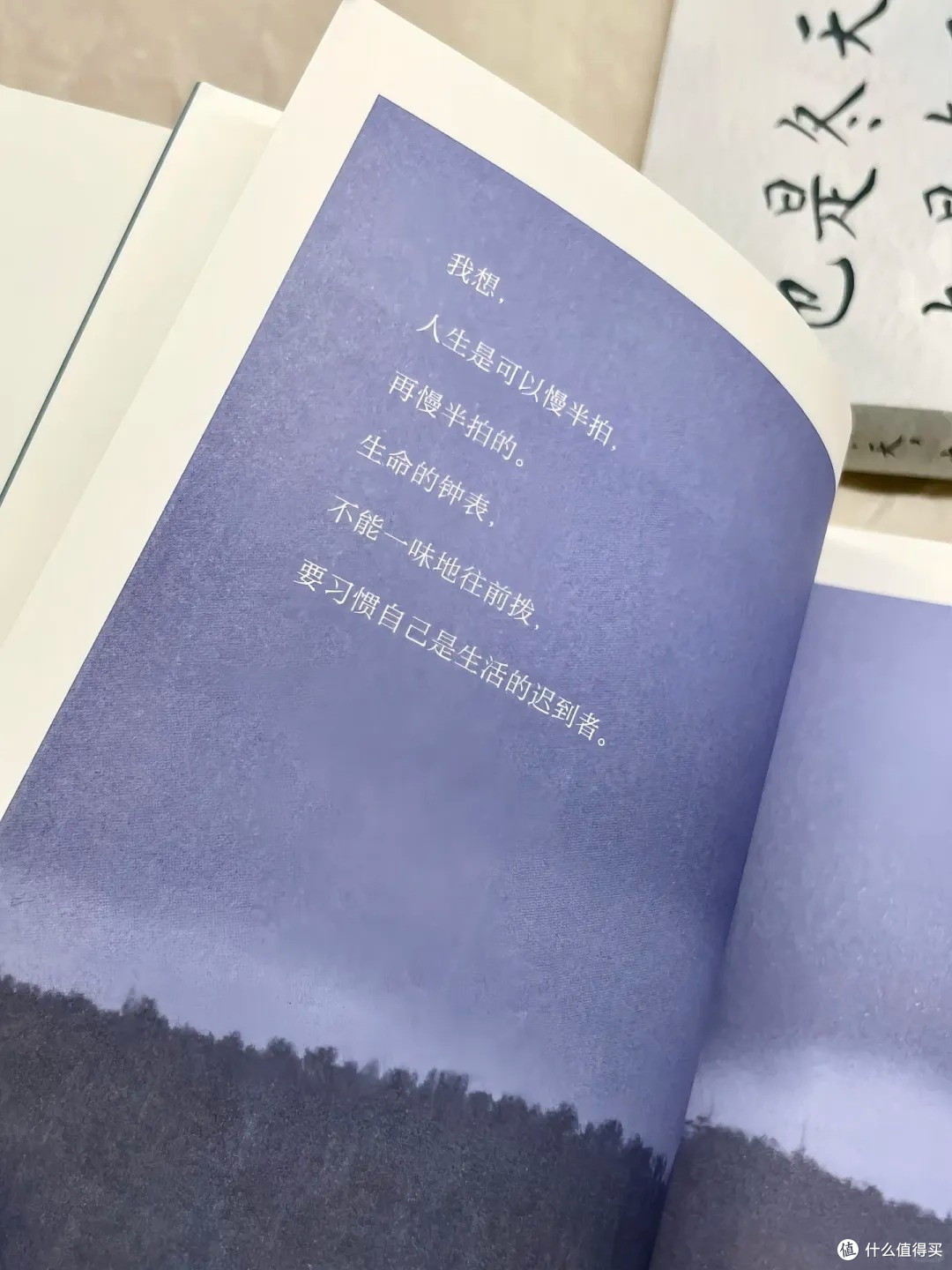 《也是冬天,也是春天》,给焦躁的情绪找着了落脚地。