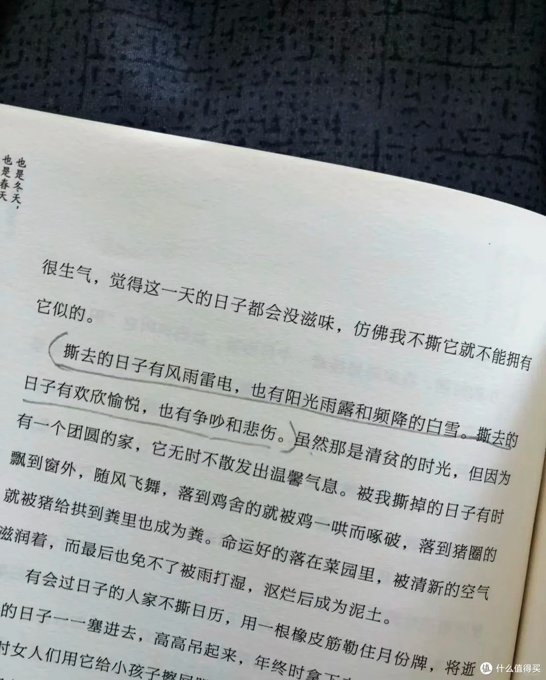 《也是冬天,也是春天》,给焦躁的情绪找着了落脚地。