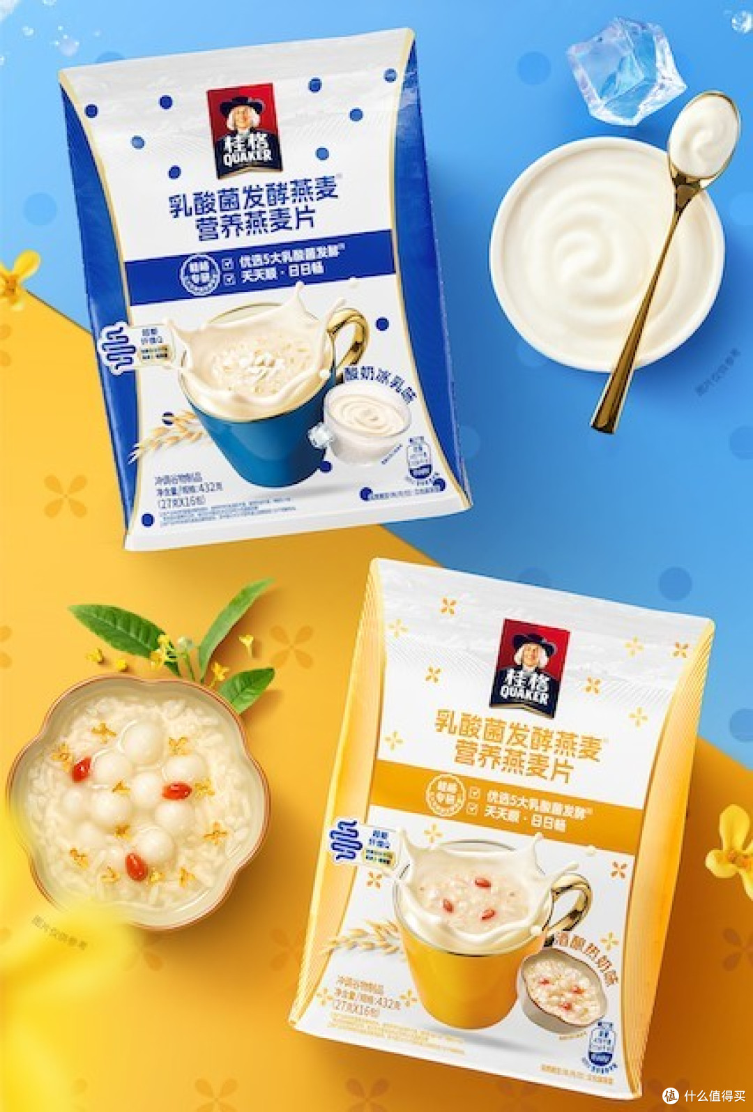 冷热两吃早餐麦片:桂格乳酸菌发酵燕麦营养燕麦片春夏秋冬都能喝