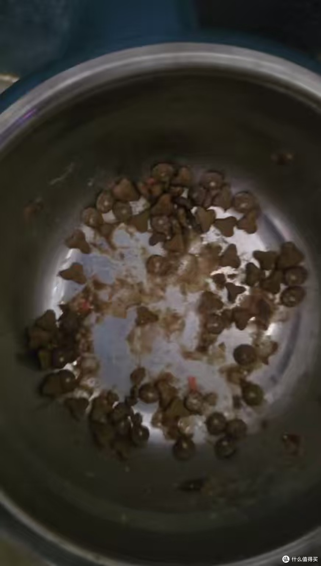 雷米高澳宝海洋鱼味全价猫粮500g，试吃装先把“鱼味党”稳住