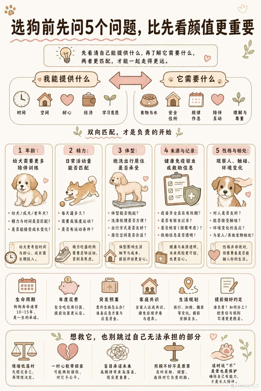 狗狗科学喂养与护理全指南|养出健康长寿毛孩子,新手零踩坑