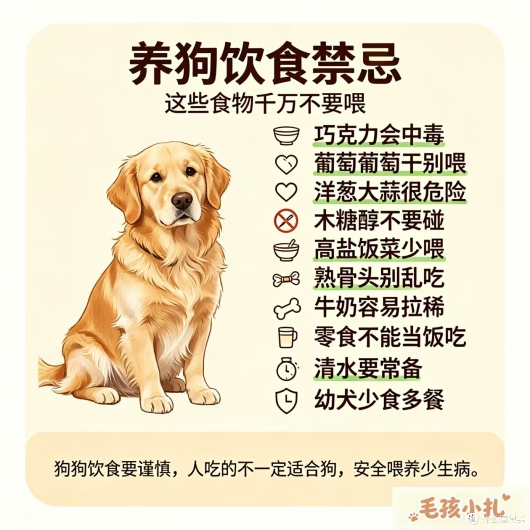 狗狗科学喂养与护理全指南|养出健康长寿毛孩子,新手零踩坑