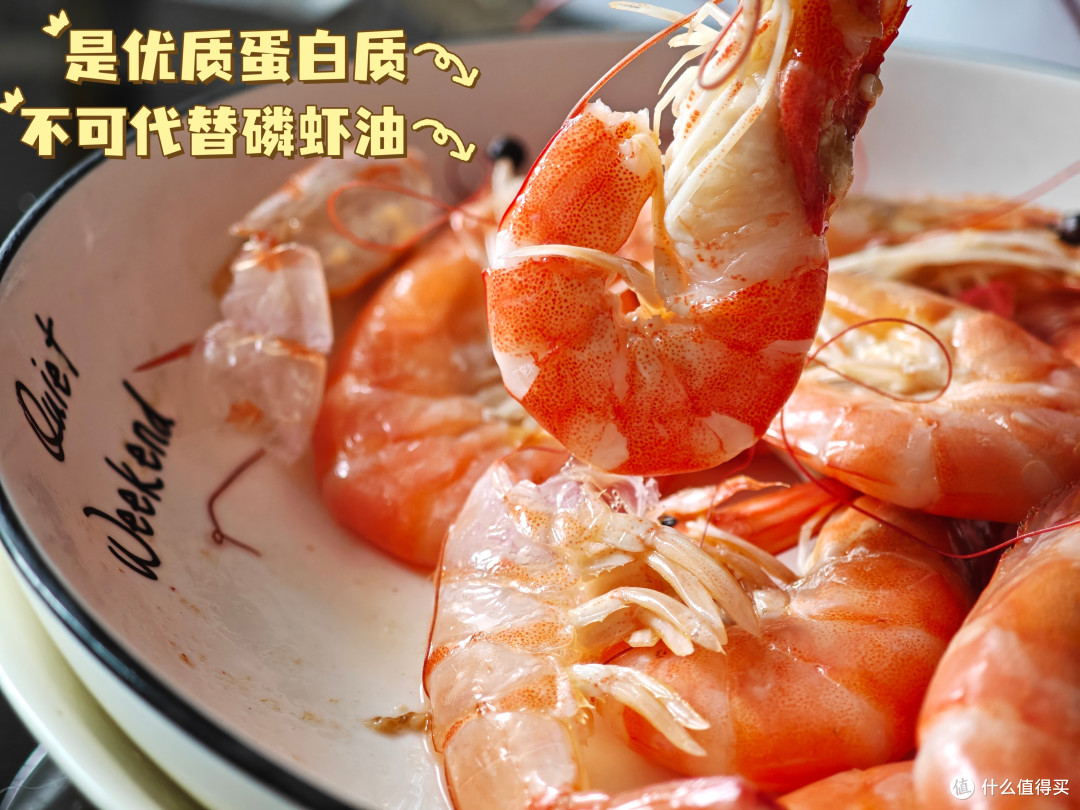 宠物到底吃鱼油还是磷虾油好,先弄明白再入手|别迷信阿克原料