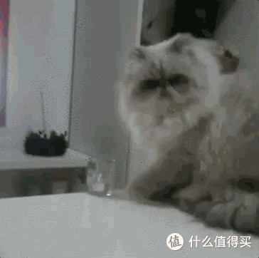 大学生送礼物,可不敢这么送,即使体面有爱的也注定吃灰
