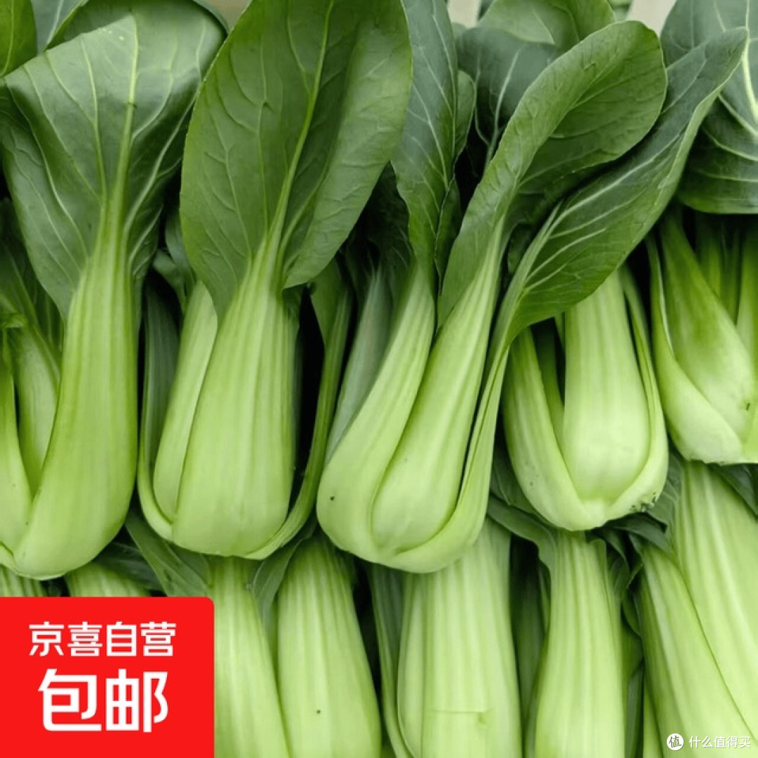 上海青蒜蓉爆炒与焖饭做法