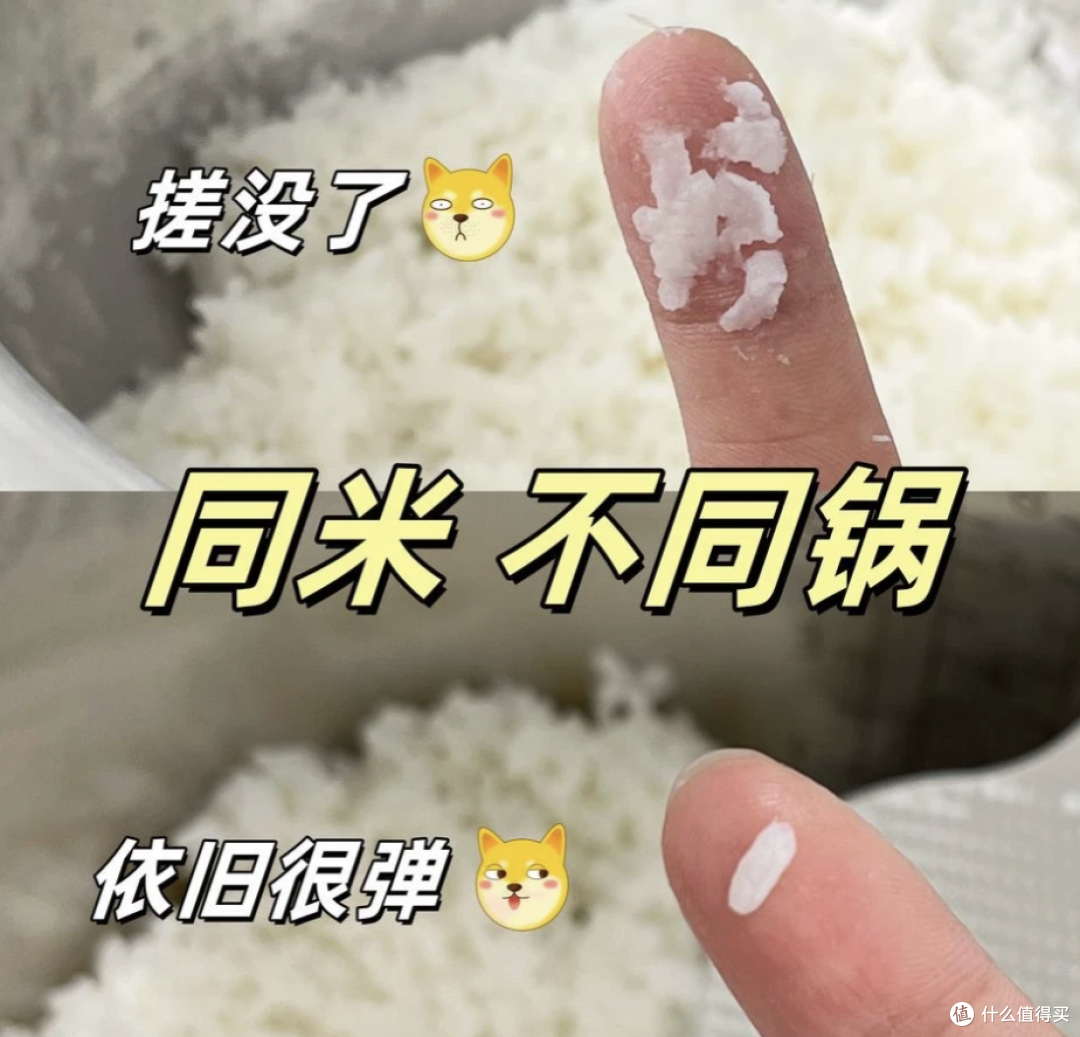 别再交智商税了!2026电饭锅实测,千元档我只服这2款