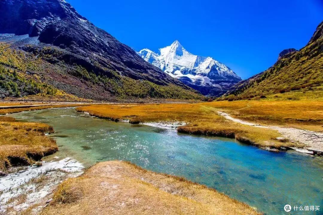 油性发质总是下午出油?去油控油洗发水我用过的几款说说感受