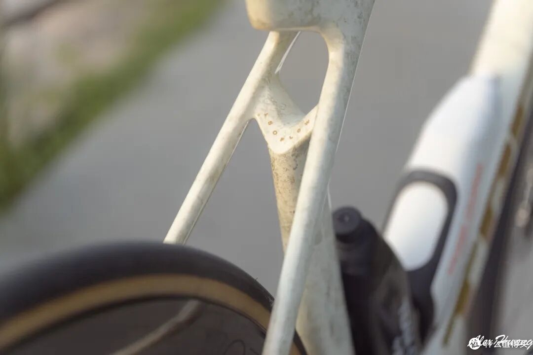 性价比最高的顶级公路车?TREK八代Madone评测