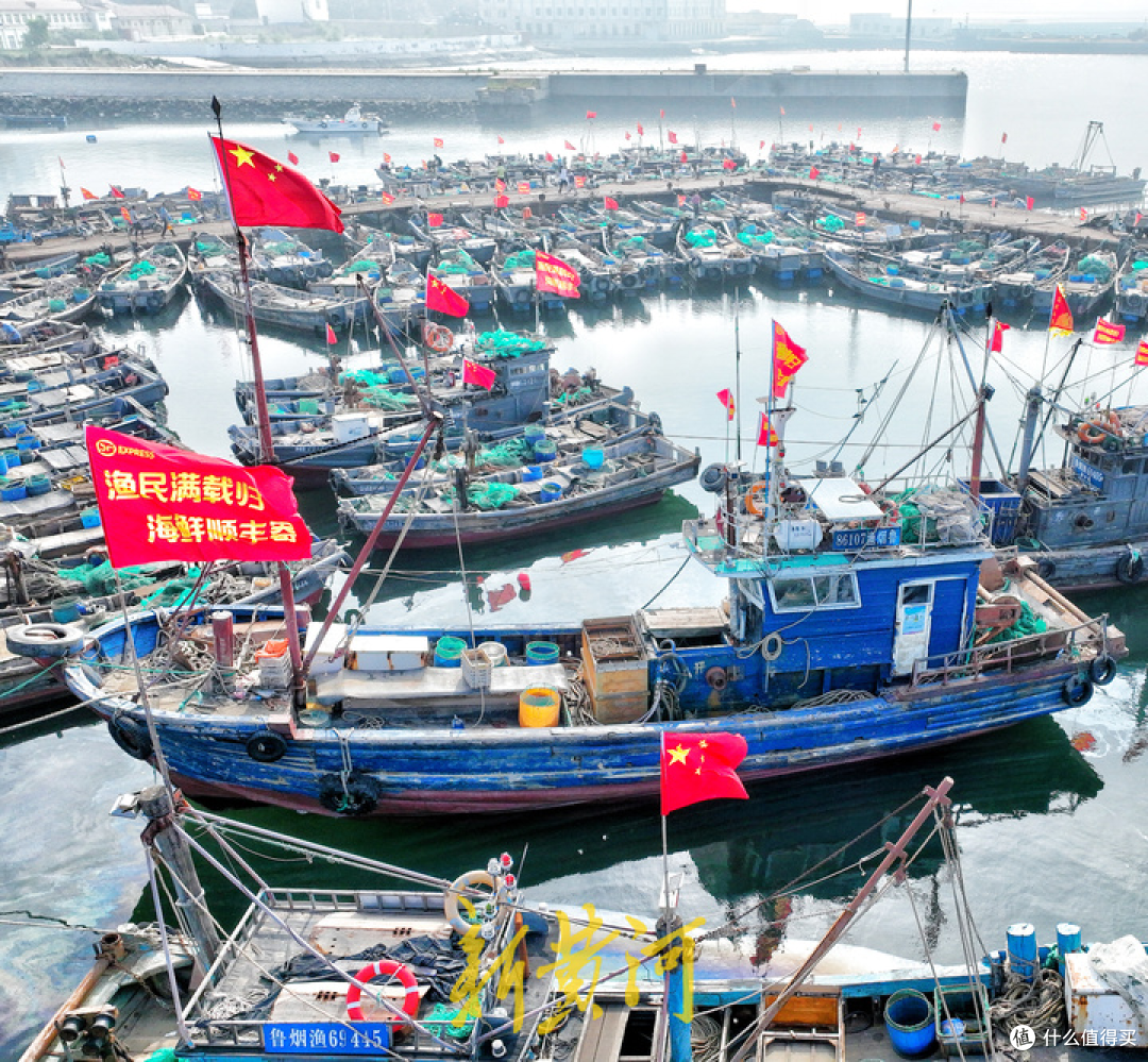 别一开海就乱买:9—10月的海鲜,到底什么时候最好吃?